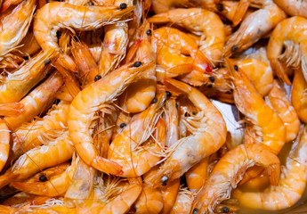 full frame of Shrimp - seafood