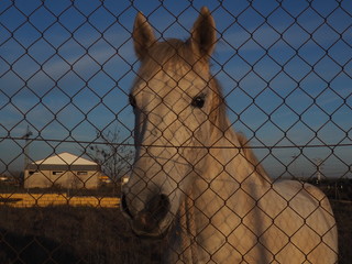 detalle de una reja de cerca con fondo difuminado de naturaleza