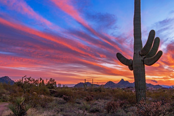 Classic Arizona Desert Sunset Landscape With Cactus And Colorful Sky