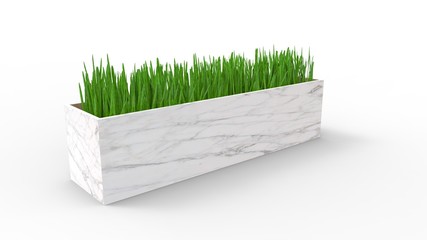 3d rendering of a bucket with grass plant in white studio background