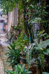 Fototapeta na wymiar Bicycle and plants on a street in Yangon, Myanmar