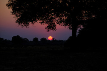 Sunset in Mana Pools National Park, Zimbabwe