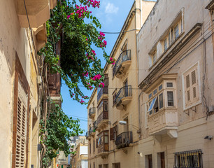 Vibrantly magenta coloured branches of Bougainvillea hanging from the wall of narrow charming Sliema street, Malta.