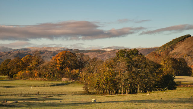 Stunning vibrant Autumn Fall landscape of countryside in Lake District with lovely golden light on trees and hills © veneratio