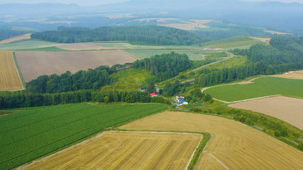 北海道　美瑛　空撮風景