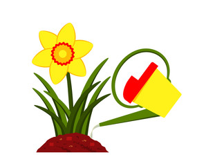 daffodil and watering can