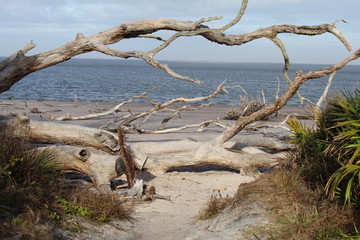 Boneyard Beach, Florida