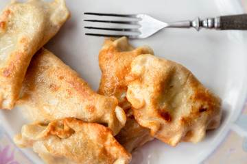 Fried dumplings and fork on a plate.