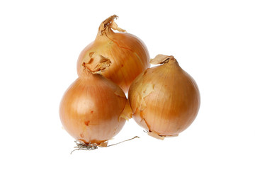 Common onions
