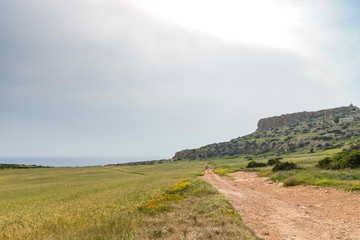 Small mountain and nearby field in Cavo Greco national park,