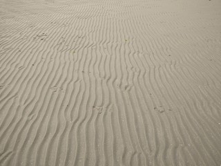 ripples in the sand