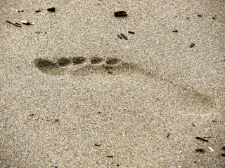 Fototapeta na wymiar Foot print in sandy beach