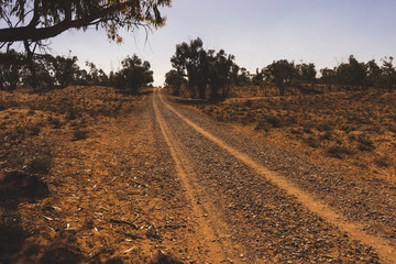Off Road Track in the National Park Souss-Massa