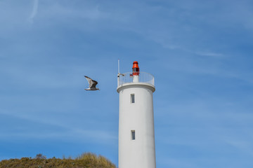 une mouettte survole le phare de grosse terre saint-hilaire-de-riez sur la Corniche vendéenne à la limite de la commune de Saint-Gilles-Croix-de-Vie.