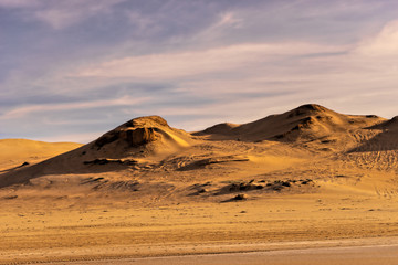 Fototapeta na wymiar sand dunes at the coast of south morocco