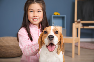 Little Asian girl with cute beagle dog at home