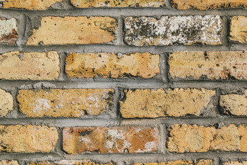 Old cream brick wall background texture