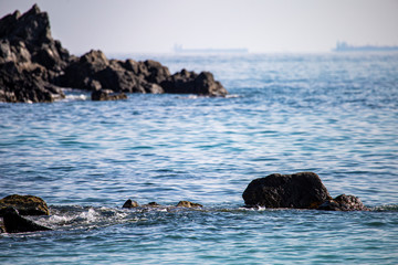 Fototapeta premium rocks protrude from the water in the sea