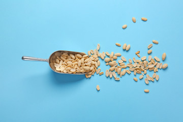 Scoop with peanuts on color background