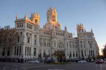 Fototapeta premium sunset