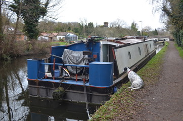 dog next to house boat canal 