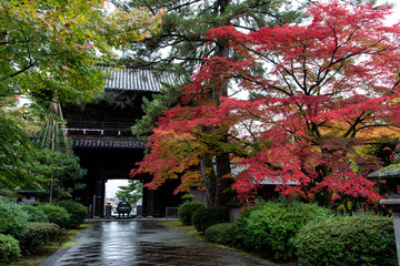 寺の境内と紅葉