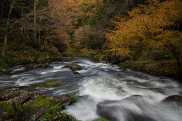 渓流と紅葉