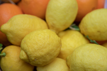 Detail of lemons and oranges