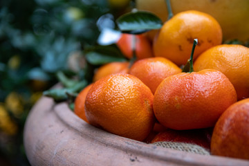 Detail of tangerines arranged in a bowl