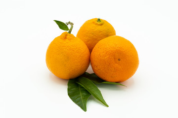 Tangerines or clementines with green leafs isolated on white background