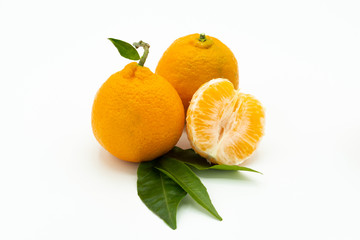 Tangerines or clementines with green leafs isolated on white background