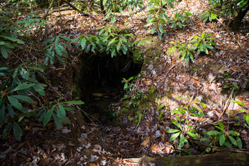 Naklejka na ściany i meble stream in the forest, cave