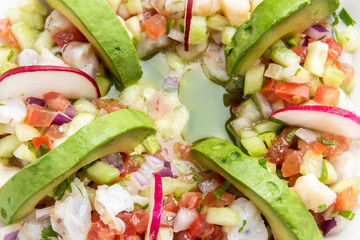 Seafood seviche or ceviche Close Up