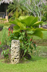 garden sculpture tropical Thailand palms