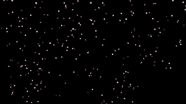 桜の花びらが散る　ループ