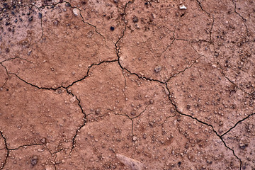 Dry earth, concept of climate crisis and climate change.