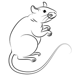 Hand drawn rat or mouse. Symbol of Chinese New Year 2020. Element for design. Contour drawing isolated on white.