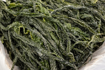 seaweed_37
