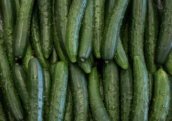 Cucumbers_3744