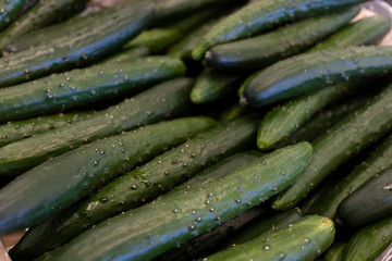Cucumbers_3745