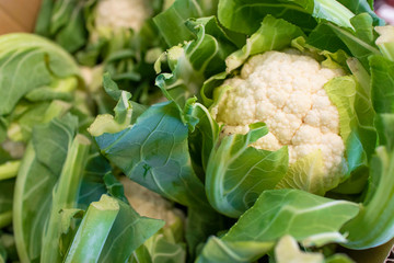 cauliflower_3746