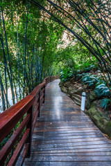 Obraz premium Chongqing Cityscape