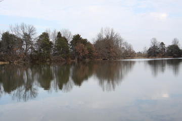 Missouri Lake and Pine Trees 2019 