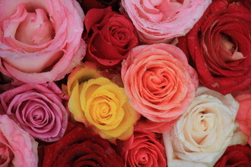 Mixed wedding roses