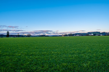 landscape with green field and blue sky