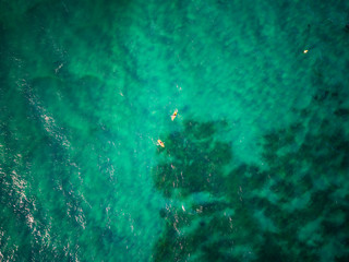 Paddle boaters in the ocean, Queensland Australia