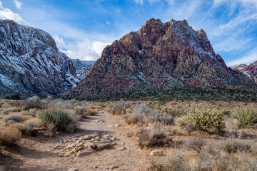 USA, Nevada, Clark County, Red Rock Canyon National Conservation Area. Mt. Wilson towers over the First Creek Trail, on of the only free hiking areas at the park.