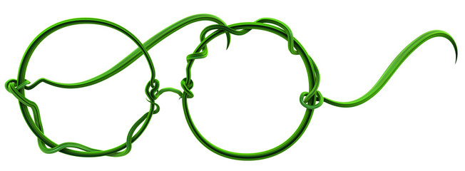 Plant Vines Green, Glasses