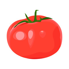野菜のイラスト。真っ赤でフレッシュな大玉トマトのイラスト。