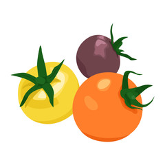 野菜のイラスト。黄色とオレンジ色と紫色のカラフルなミニトマトのイラスト。